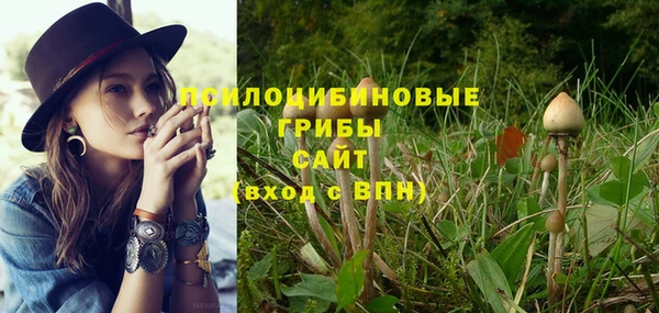 не бодяженный Богородицк