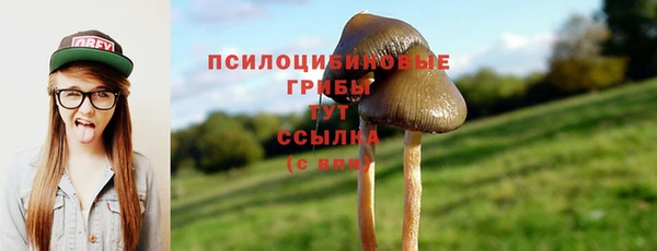 ешки Бугульма