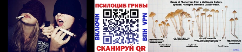 Галлюциногенные грибы Magic Shrooms  hydra ONION  Вуктыл 